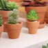 Yishang 1.9 Inch Tiny Terracotta Pots - Pack of 36 Mini Clay Pots with Drainage Holes for Succulent Plants