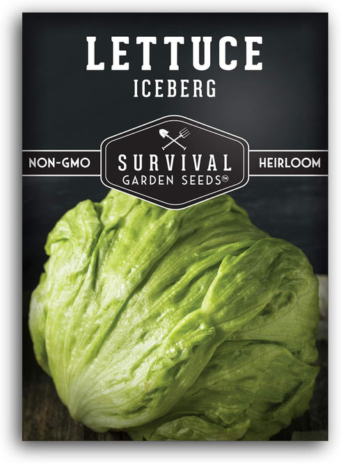 Iceberg Lettuce Seeds for Planting Crisp Head Lettuce Variety with Crunchy Texture