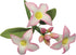 PME Daphne Flower Petal Cutters, Stainless Steel, Set of 2
