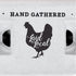 25 (25, Egg Cartons- Adorable Printed Vintage Design for Farm Fresh Eggs, Recycled Paper Cardboard, Sturdy & Reusable