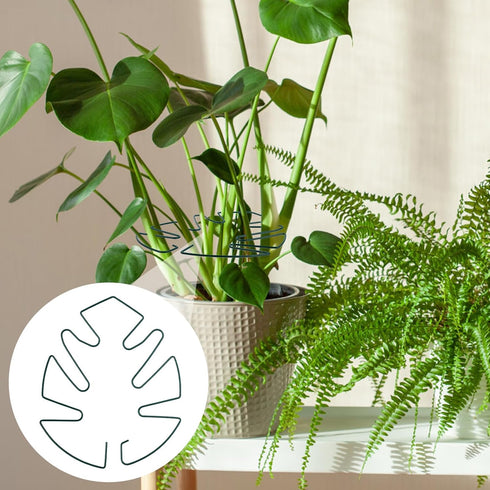 BOXOB 2pcs Monstera Leaf Plant Support, Metal Climbing Plant Stem Supports Monstera Shaped Plant Stand Ring Houseplant