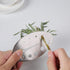 Herb Stripper Tool, Stainless Steel Leaf Zipper for Kale, Chard, Collard Greens, Rosemary, and Thyme