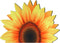 Non-slip Sunflower Shape Bathroom Rug, Decorative Water Absorbent Mat for Indoor Outdoor Kitchen Bath Shower Room, 27.6
