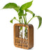 Walnut Wood Terrarium Planter - 2 Glass Test Tube Vase & Boho