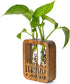 Walnut Wood Terrarium Planter - 2 Glass Test Tube Vase & Boho