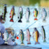 Havercamp Gone Fishin String Hanging Banner for Fish Fry, Bass Fishing, Freshwater & Salt Water Tournament Decor