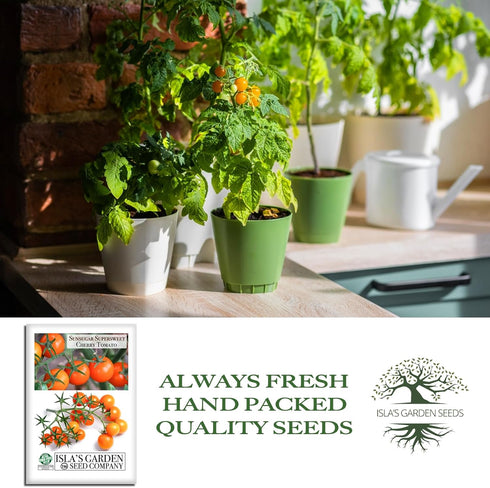 20+ Sunsugar Supersweet Cherry Tomato Seeds (Lycopersicon lycopersicum) Heirloom Non-GMO Seeds by Islas Garden Seeds