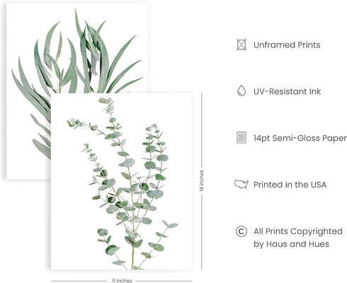 HAUS AND HUES Set of 4 Botanical Plant Wall Art Prints - Floral Kitchen Decor, Eucalyptus Leaves (11x14, UNFRAMED)