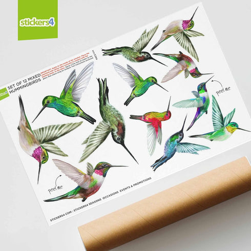 12-Pack Hummingbird Window Clings, Double-Sided Colorful Decals for Bird Strike Prevention