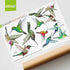 12-Pack Hummingbird Window Clings, Double-Sided Colorful Decals for Bird Strike Prevention