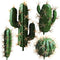 FagusHome Artificial Cactus Decor - Faux Cactus Plant Fake Succulents, 4 Pieces Unpotted Indoor Décor