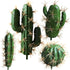 FagusHome Artificial Cactus Decor - Faux Cactus Plant Fake Succulents, 4 Pieces Unpotted Indoor Décor