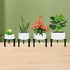 5"-10" 1 Pack) Three Legs Adjustable Metal Plant Stand for Plant Pot Indoor & Outdoor (Black