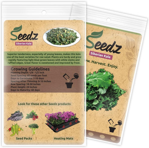 550, Organic Kale Seeds, APPR. Siberian Kale, Heirloom Vegetable Seeds, Certified Organic, Non GMO, Non Hybrid, USA