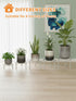 NQW 5 Pack Heavy Duty Rustproof Iron Flower Pot Stand Holder Indoor Outdoor Pot Stand Rack Decorative Round Flower