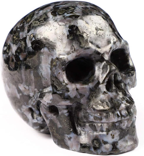 Skullis 2.0" Gabbro Crystal Skull - Hand Carved Gemstone Fine Art Sculpture, Reiki Healing Stone Statue