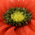 ELSKERJW 3D 12Inch Flower Throw Pillow Decorative Daisy Accent Pillows Handmade Cute Round Velvet Floral Cushion