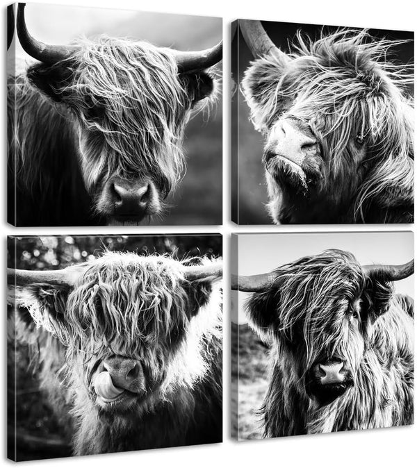 DJSYLIFE Highland Cow Wall Art - Black and White Cow Pictures, Modern Rustic Decor for Bedroom or Office