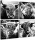 DJSYLIFE Highland Cow Wall Art - Black and White Cow Pictures, Modern Rustic Decor for Bedroom or Office