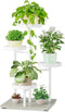 iDavosic.ly 4 Tier Plant Stand Indoor, Tiered Corner Flower Holder Shelf Outdoor,