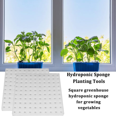 XIDAJIE 200 Pcs Hydroponic Sponges, Planting Gardening Tool for Soilless Cultivation and Seedling Growth