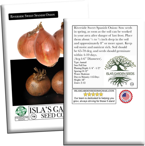 300+ Bulbs Riverside Sweet Spanish Onion Seeds (Allium cepa) Heirloom Non-GMO Seeds by Islas Garden Seeds, Large Mild