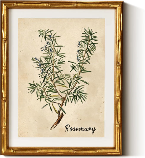 InSimSea Gold Bamboo Framed Canvas Wall Art, Retro Herbs Rosemary Botanical Paintings,