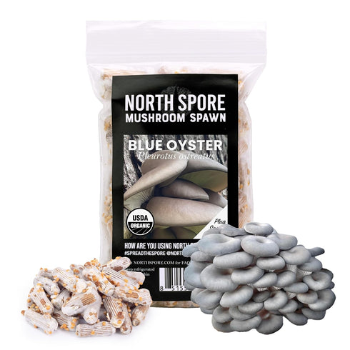 North Spore Organic Blue Oyster (100 ct) Mushroom Plugs for Logs |