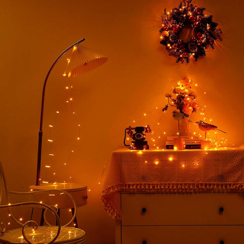 1 Pack 16.4ft 50 Ariceleo Battery Operated String Lights with Timer, Warm White with Synchronized Twinkle Mode, Fairy