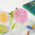 True Umbrella Appetizer Picks - Mini Umbrella Toothpicks, Multicolor, Wood, Set of 12