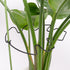 5PCS 9x7.6in Yohsnor Black Monstera Plant Stem Support - Adjustable & Durable Indoor Plant Stake for Cactus