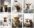 MINI ZOZI Cow Bathroom Decor 8x10, 6PCS Canvas Pictures Wall Decor Funny Highland Cow Prints Art
