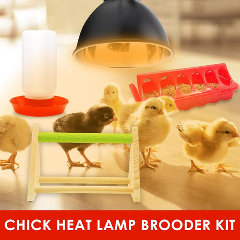 75W Chick Feeder and Waterer Kit with Heat Lamp, Chick Perch, Flip Top Poultry Feeder, Baby Chick Starter Kit for Chick