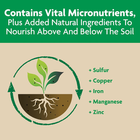 3 4.5 lb. Miracle-Gro Shake 'N Feed Tomato, Fruit and Vegetable Plant Food - Fertilizer for Vegetable Gardens