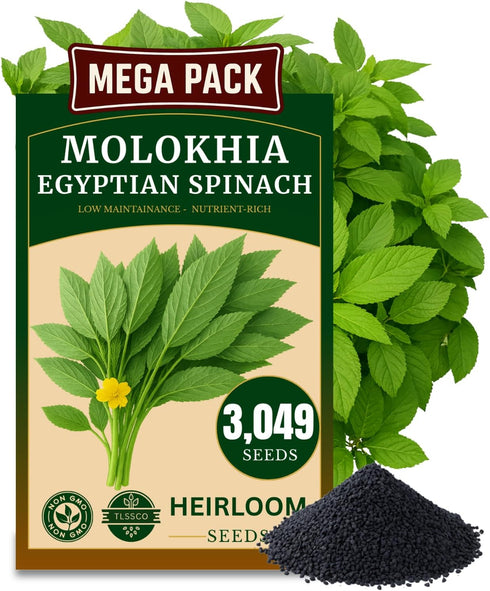 The Lucky Stars 3000+ USA Premium Egyptian Spinach Seeds (Molokhia), Non-GMO Seeds, Fast-Growing, Low Maintainance,