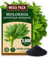 The Lucky Stars 3000+ USA Premium Egyptian Spinach Seeds (Molokhia), Non-GMO Seeds, Fast-Growing, Low Maintainance,