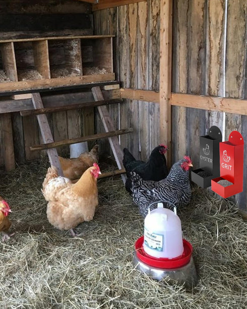 YQDHYLYH Chicken Oyster Shell Feeder and Grit Feeder Metal Chicken Feeder Chicken coop Accessories Automatic Chicken