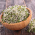 1 Lb Handy Pantry Broccoli Sprouts Seed Organic- - Non-GMO Organic Broccoli Seeds for Sprouting, Microgreens Sprouting