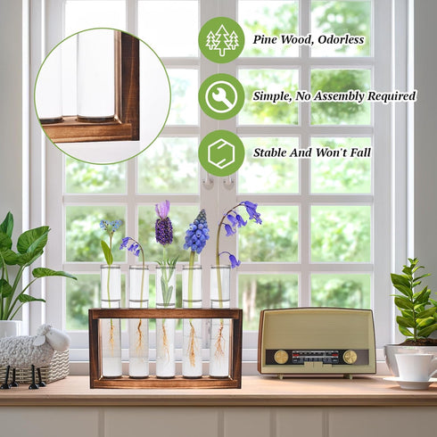 Tigvio 2pcs 10 (10 Desktop Glass Plant Propagation Station with Test Tubes in Wooden Stand - Hydroponic Plants Cutting