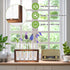 Tigvio 2pcs 10 (10 Desktop Glass Plant Propagation Station with Test Tubes in Wooden Stand - Hydroponic Plants Cutting