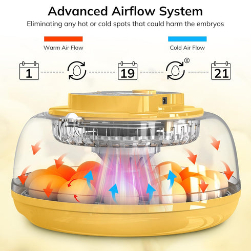 Innvello 18 2 2 Egg Incubator with Automatic Egg Turning and Humidity Control, Chicken Incubator for Hatching Eggs