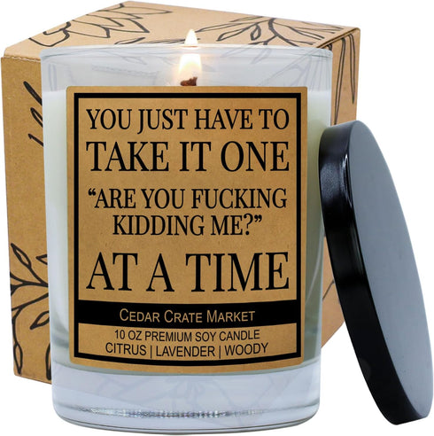 You Just Have to Take It, Funny Candles Gift for Women, Inappropriate Lavender Scented Candles with Sayings, Made in USA