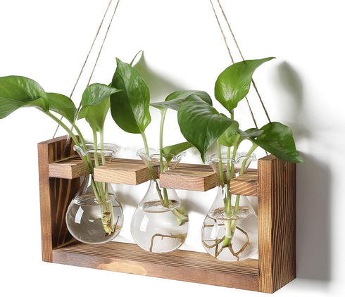 Plant Propagation Station Plant Terrarium Unique Birthday Gifts for Women Home Office