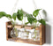 Plant Propagation Station Plant Terrarium Unique Birthday Gifts for Women Home Office