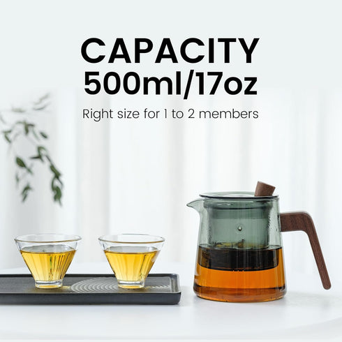 Glass Teapot with Removable Glass Infuser, Teapot Kettle for Blooming and Loose Leaf, Borosilicate Glass Tea Maker 17oz/500ml by Tea Canyon