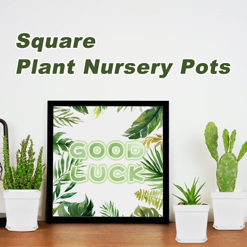 24Pcs 3" Anyumocz Square Plastic Plant Pots,White Nursery Pots with Saucers,Seedling Nursery Transplanting Planter