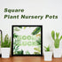 24Pcs 3" Anyumocz Square Plastic Plant Pots,White Nursery Pots with Saucers,Seedling Nursery Transplanting Planter