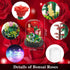 JESGO 2 Flowers Bouquet Sunflowers - Rose Building Kit, Creative Bonsai Tree Succulents Plant Blocks with LED Light