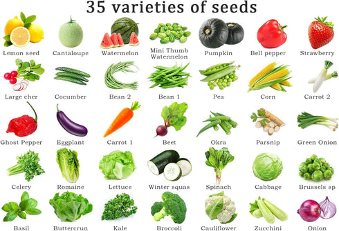 Ficoszo 35 10 Vegetable Seeds Kit Fruit Seeds for Planting Non-GMO and Heirloom Varieties Seeds for Planting Vegetables