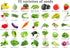 Ficoszo 35 10 Vegetable Seeds Kit Fruit Seeds for Planting Non-GMO and Heirloom Varieties Seeds for Planting Vegetables